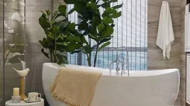 上海壁挂式马桶尺寸参数